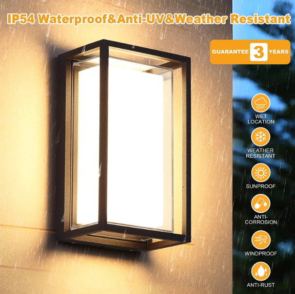 Outdoor Cage Wall Light
